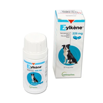 Zylkène 225 mg Ergänzung für Hunde, mit einer Flasche und einer Schachtel mit einem Border Collie Bild, beschriftet für 30 Kapseln.