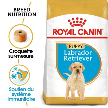 Labrador Retriever Chiot Croquettes Chien 3 kg
