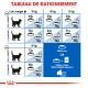 Tableau détaillant les directives d'alimentation pour les chats en fonction de leur poids, montrant les catégories idéales et en surpoids, avec les quantités recommandées de croquettes et de sachets.