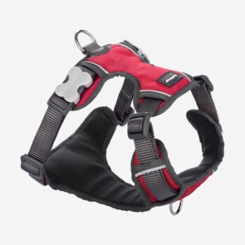 Rotes und graues Hundegeschirr mit verstellbaren Riemen und gepolstertem Innenraum, mit metallenen D-Ringen zur Leinenbefestigung.