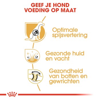 Afbeelding ter promotie van op maat gemaakte hondenvoeding, met iconen voor optimale spijsvertering, gezonde huid en vacht, en gewrichtsgezondheid, met Nederlandse tekst.