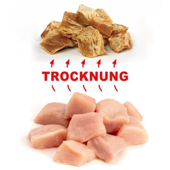 Bild von zwei Haufen Tiernahrung: getrocknete Fleischstücke oben, frisches Huhn darunter, beschriftet mit "TROCKNUNG" in fettem Rot für den Trocknungsprozess.