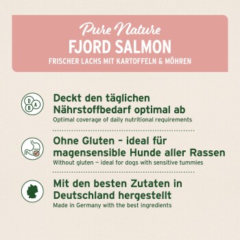 Ein brauner Hund auf einem Feld, mit "AniForte Für Hunde" darüber und täglichen Fütterungsempfehlungen basierend auf dem Gewicht darunter.