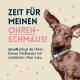 Ohrenreiniger
