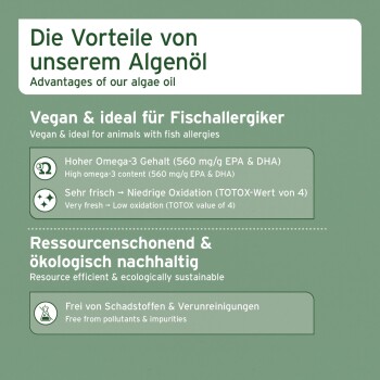 Grüne Grafik mit Titel 'Die Vorteile von unserem Algenöl' — Vegan, für Fischallergiker geeignet; hoher Omega-3-Gehalt; geringe Oxidation.