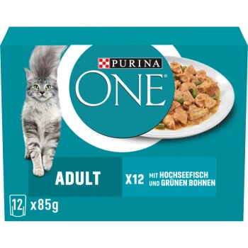 Adult Hochseefisch 12x85 g Purina ONE Katzenfutterpackung für Erwachsene, mit einer Maine Coon Katze und einem Teller mit Nassfutter mit Fisch und grünen Bohnen.