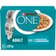Purina ONE Katzenfutterpackung für Erwachsene, mit einer Maine Coon Katze und einem Teller mit Nassfutter mit Fisch und grünen Bohnen.