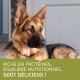 Gros plan d'un chien berger allemand se reposant, avec un texte superposé indiquant "Riche en protéines, équilibre nutritionnel, goût délicieux !"