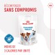 Emballage de friandises d'entraînement Royal Canin avec un chien heureux, étiqueté "Tasty Chews Low Calorie," avec "Moins de 3 calories par unité."
