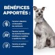 Chien sur un fond bleu mettant en avant les bienfaits : aide à la digestion, soutient les bactéries intestinales et renforce la santé immunitaire.