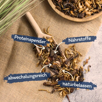 Getrocknete Insektenmischung für Haustiere auf Jute mit Holzlöffel und deutschen Etiketten: Proteinquelle, Nährstoffe, abwechslungsreich, natürlich.