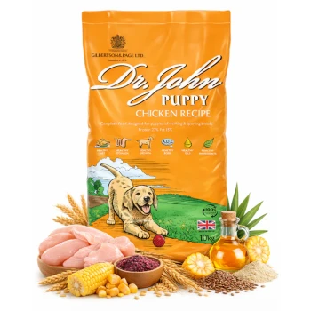 10kg Dr. John Puppy Huhn Rezept Hundefuttertüte mit spielerischer Welpenillustration und Hervorhebungen von 27% Protein und 15% Fett.