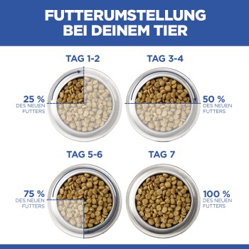Futterumstellungsanleitung für Haustiere, die eine schrittweise Erhöhung des neuen Futters von 25 % bis 100 % über sieben Tage in Schüsseln zeigt.