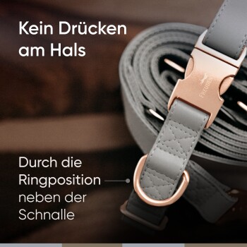 Nahaufnahme einer grauen Hundeleine mit einer roségoldenen Schnalle, mit dem Text "Kein Drücken am Hals" und "Durch die Ringposition."