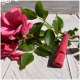 Rote ACME-Pfeife mit schwarzer Schnur und Metallclip, gekennzeichnet mit BPA-frei und hergestellt in England.