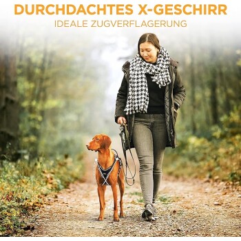 Eine Frau geht mit einem braunen Hund auf einem Waldweg, der ein Geschirr mit der Aufschrift "Durchdachtes X-Geschirr" und "Ideale Zugverlagerung" trägt.
