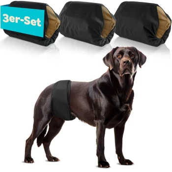 Ein schwarzer Labrador in einer blauen Windel steht stolz mit drei bunten Windeln hinter sich. Text: "3er-Set."