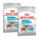 Zwei Tüten Royal Canin Urinary Care Mini Hundefutter, mit einem kleinen Hund auf der Vorderseite, der die Gesundheit der Harnwege und 21% Urinverdünnung betont.