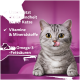 Grau-getigerte Katze leckt sich die Lippen vor rosa Hintergrund, Text: „Unterstützt die Gesundheit Ihrer Katze; Vitamine & Mineralstoffe; Mit Omega-3-Fettsäuren“