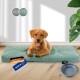 ® Hundebett mit Anti-Rutsch-Boden, strapazierfähiges Kissen für Hunde und Katzen inkl. Gratis-Wassernapf türkis M