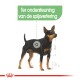 Illustratie van een zwart en tan hond met de focus op zijn spijsverteringsondersteuning, met de tekst 'Ter ondersteuning van de spijsvertering.'