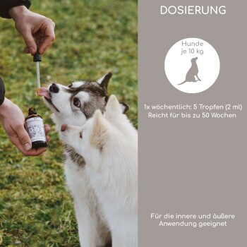 Flasche mit biologischem Schwarzkümmelöl, beschriftet mit 'BIO SCHWARZKÜMMELÖL,' das seine 100% natürlichen, veganen und kaltgepressten Eigenschaften hervorhebt.