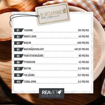 Nährwerttabelle für B-Vitamine, die verschiedene Vitamine und deren Konzentrationen in mg/kg auflistet, gebrandet von REAVET.