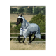 Ein schwarzes Pferd trägt eine hellgraue Bucas-Fliegenhaube mit Kapuze und läuft auf einer grasbewachsenen Wiese mit einem Holzzaun und Bäumen im Hintergrund.