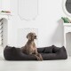 Zwei Hunde, die auf einem plüschigen braunen Hundebett sitzen, einer hält ein Teddybärspielzeug, mit einem modernen Wohnzimmer im Hintergrund.
