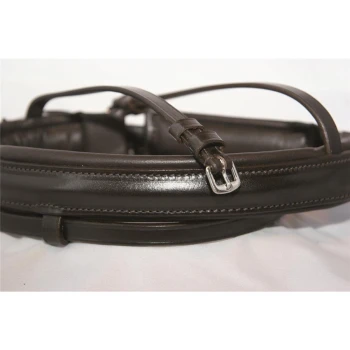 Eine Nahaufnahme eines dunkelbraunen Leder-Haustierhalsbands mit einer silbernen Schnalle und verstellbarem Riemen, der auf einer weißen Oberfläche liegt.