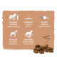 Infografik zu Hundefuttervorteilen zeigt harmonische Entwicklung, glänzendes Fell, stabile Darmflora, Zellschutz und ausgewogene Ernährung mit Trockenfutter.