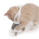 Un chaton orange clair et joueur interagit avec un jouet blanc avec une plume, tout en tapotant un petit morceau de nourriture pour chat sur une surface blanche.