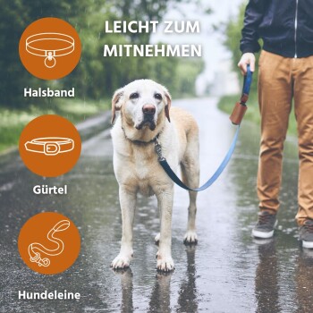 Eine Person auf einer nassen Straße hält eine blaue Leine, die an einem leichten Hund befestigt ist. Der Text sagt "LEICHT ZUM MITNEHMEN" mit Symbolen für Halsband und Leine.