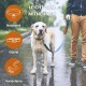 Eine Person auf einer nassen Straße hält eine blaue Leine, die an einem leichten Hund befestigt ist. Der Text sagt "LEICHT ZUM MITNEHMEN" mit Symbolen für Halsband und Leine.