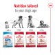 Royal Canin dog food bags for Puppy, Medium Adult, Adult 7+, and Ageing 10+, featuring "Nutrition tailored to your dog's age."