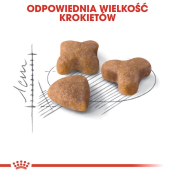 Trzy kształty krokietów dla zwierząt (trójkąt, kwadrat, gwiazda) na przewodniku pomiarowym, z napisem "ODPOWIEDNIA WIELKOŚĆ KROKIETÓW" powyżej.