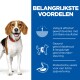 Beagle naast een blauw paneel met voordelen: veilige gewichtsverlies, gezonde onderhoud en prebiotische vezels voor spijsvertering.