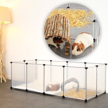 Ein transparenter Haustierkäfig mit zwei Meerschweinchen, eines in der Nähe eines Holz-Tunnels und das andere auf einer weichen Oberfläche ruhend, in einem hellen Raum.