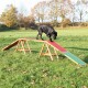Ein schwarzer Labrador Retriever, der selbstbewusst auf einer bunten Holz-Agi-Rampe in einem grasbewachsenen Feld mit herbstlichen Bäumen im Hintergrund läuft.