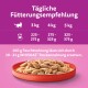 Bild zeigt eine Fütterungsempfehlungstabelle für Katzen, die die täglichen Futtermengen für 3 kg, 4 kg und 5 kg Katzen detailliert, mit einer Schüssel mit Nassfutter.