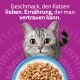 Graue getigerte Katze mit gelben Augen blickt über einen Napf mit Trockenfutter; lila Hintergrund mit deutschem Text 'Geschmack, den Katzen lieben.'
