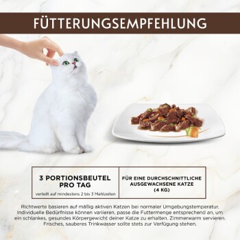 Weiße flauschige Katze wird neben einem Teller mit Nassfutter gestreichelt; deutscher Text ‚FÜTTERUNGSEMPFEHLUNG‘, ‚3 PORTIONSBEUTEL PRO TAG‘ und ‚(4 KG)‘
