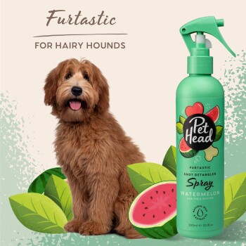Ein flauschiger brauner Hund sitzt neben einer grünen Flasche Pet Head Furtastic Knot Detangler Spray, beschriftet mit "Wassermelone" und Sheabutter.