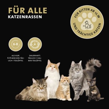 Peticare Probiotika & Präbiotika Pulver für Katzen, Darm-Sanierung, Darmflora | 100 gr