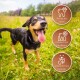 Ein glücklicher schwarz-brauner Hund steht auf einer grasbewachsenen Fläche. Drei Symbole heben Vorteile hervor: reinigt Zähne, massiert das Zahnfleisch, unterstützt das Kauen.