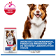 Hill's Science Plan Hundefutterbeutel und Hund; sichtbarer Text: Unterstützt das Energielevel und ActivBiome+ Multi Benefit