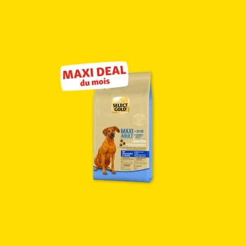 Sac de nourriture pour chiens Select Gold Maxi Adult Sensitive pour chiens de plus de 25 kg avec texte « Maxi Deal du mois » sur fond jaune.