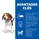 Un chiot beagle sur une surface blanche à côté d'un panneau bleu mettant en avant le DHA, les minéraux équilibrés et les protéines de haute qualité pour la croissance.