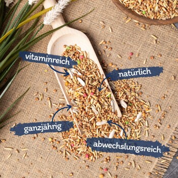 Vogelfutterspender, gefüllt mit Samen, der von einem Baumzweig hängt, mit einem kleinen Vogel, der sich nähert. Text: 'Ganzjahresfütterung.'