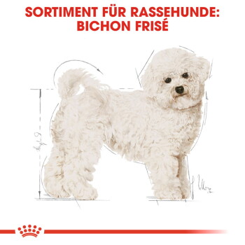 Illustration eines Bichon Frisé Hundes mit flauschigem weißen Fell, begleitet von dem Text "SORTIMENT FÜR RASSEHUNDE: BICHON FRISÉ" oben.